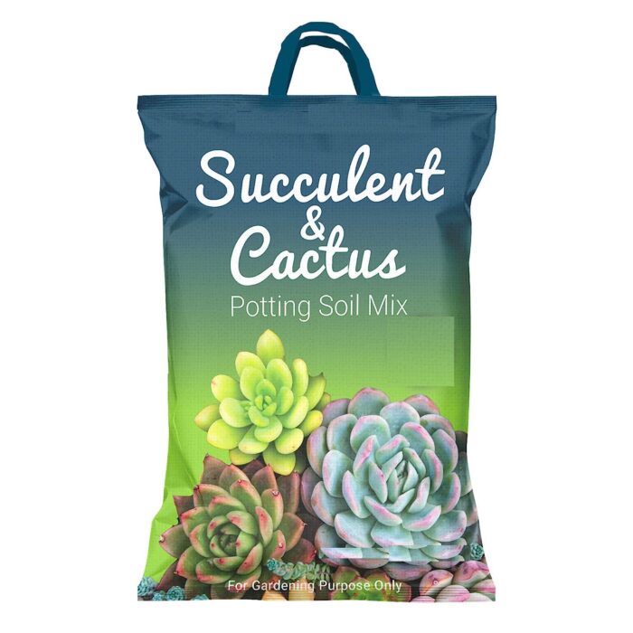 Succulent and Cactus Potting Soil Mix - 1 KG